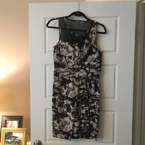 NWT Cynthia Steffe Printed Dress